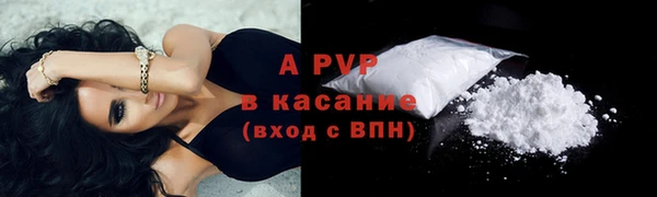 ПСИЛОЦИБИНОВЫЕ ГРИБЫ Бородино