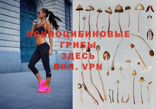 ALPHA-PVP Верея