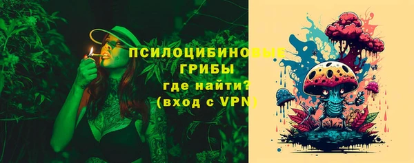 СК Верхний Тагил